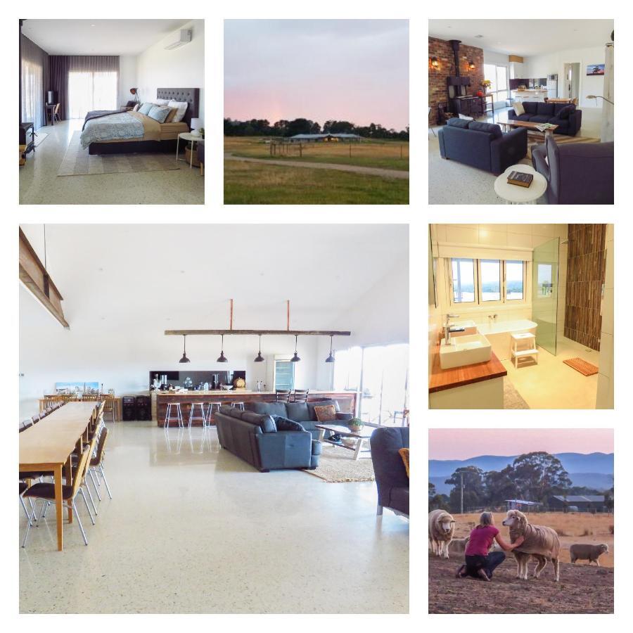 Rooks Edge Bed & Breakfast Гисборн Екстериор снимка